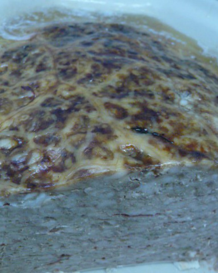 PATE DE FOIE