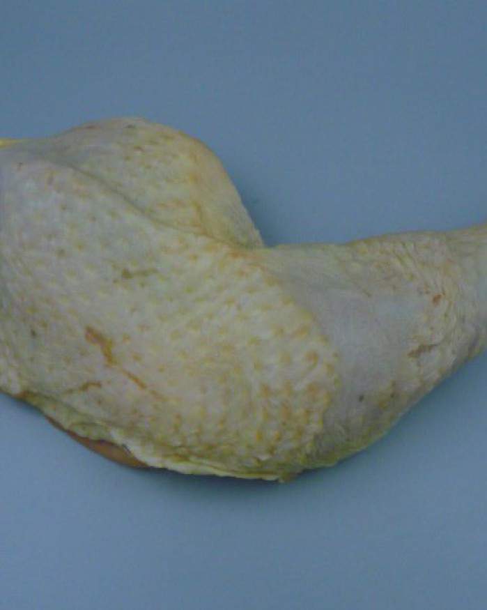 CUISSE POULET